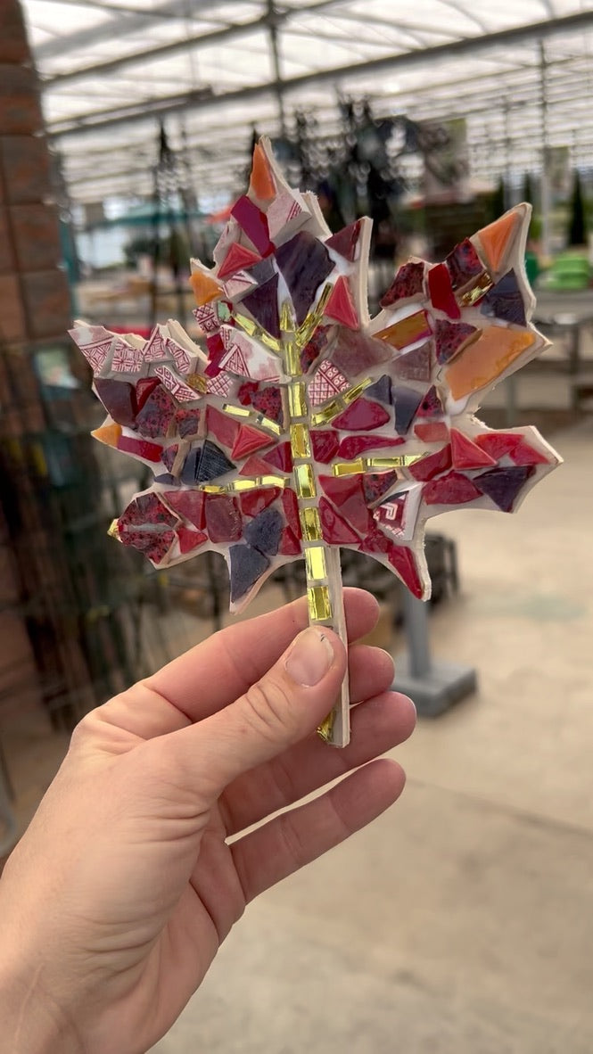 Maple Leaf