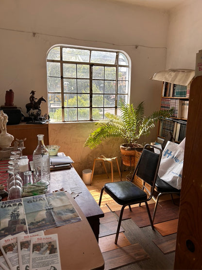 MEXICO TOUR - calling all art lovers