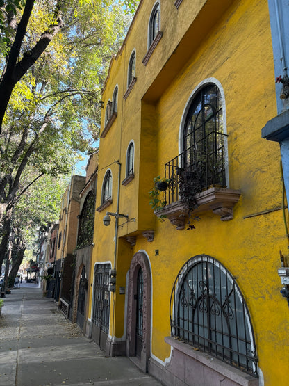 MEXICO TOUR - calling all art lovers