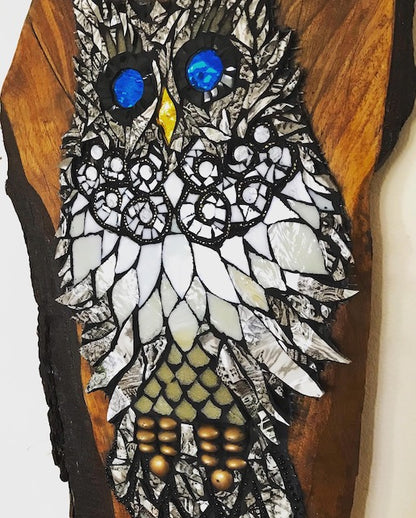 Blue Eyed Owl